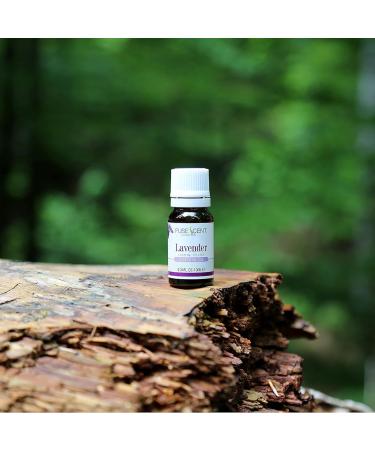 Lavender Essential Oil - 100% Pure & Natural 10ml UNDILUTED - Premium Scent for Aromatherapy & Relaxation - Buy Online on GoSupps.com