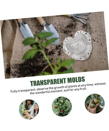 NUOBESTY 4pcs Heart Strawberry Mold Vegetables Fruit Shaping Molds Pear Melon Supply Watermelon Stereotypes - Buy Online on GoSupps.com