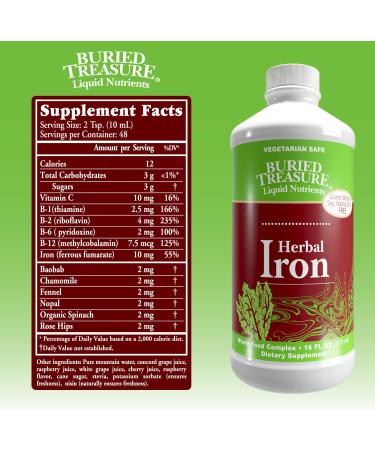 Buried Treasure Herbal Iron Supplement - Liquid Iron 16 oz for Healthy Blood & Iron Levels | Vegan, Non-GMO, Non-Constipating - Buy Online on GoSupps.com