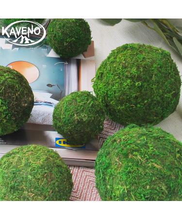 Kaveno Green Moss Decorative Balls - Set of 12 Natural Green Spheres 2.4 - Buy Online on GoSupps.com