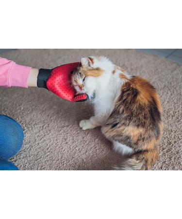 Pet Dog Cat Grooming Glove Pet brushes for shedding Massage Glove for Long and Short Hair dog grooming brush for Gentle Massage Dog brushes for grooming Glove Mitt for Dogs Rabbits&Horses (pink) - Buy Online on GoSupps.com