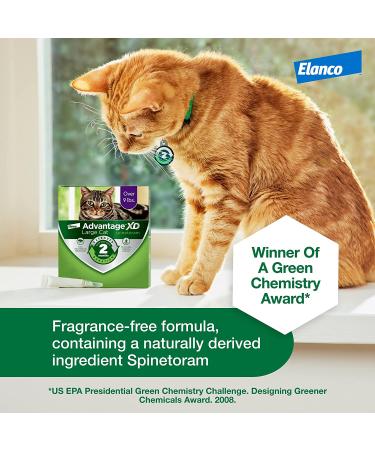 Advantage XD Flea Prevention for Small Cats (1.8-9 lbs) - Long-Lasting Treatment - 2 Pack - Buy Online on GoSupps.com