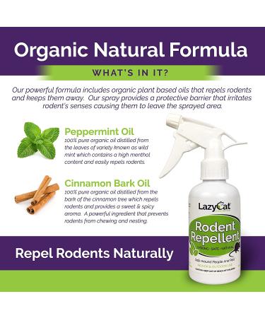 Rodent Repellent Spray 2X Strength - Peppermint Oil - MAX Power for Home, RV, Car, Camper, Boat - Natural Mouse & Rat Repellent (2 Pack) - Buy Online on GoSupps.com