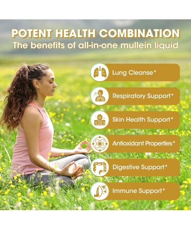 Mullein Drops for Lungs Mullein Leaf Extract with Marshmallow Root Perilla & Astragalus for Respiratory Support Immune Boost & Lung Detox Natural Herbal Formula Vegan 2 fl oz 2 Fl Oz (Pack of 1) - Buy Online on GoSupps.com