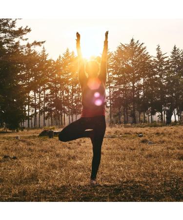 Organic Ginger Capsules - 400 pcs | 500 mg Vegan Ginger Powder | High-Quality Refill Pack | Achterhof - Buy Online on GoSupps.com