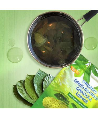 NalLife ORGANIC Soursop Graviola Tea Leaves - 200 Leaves - Pure and Natural - Buy Online on GoSupps.com