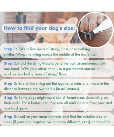 EIDEAL Pets | Nail-Grips for Dogs | Anti-slip Nail Covers for Dogs | Traction Grips for Dogs | Affordable Rubber Grips for Dogs for Hardwood Floors | Instant Relief for Dogs who Slip (M) | One pack (20 Grips) - Buy Online on GoSupps.com