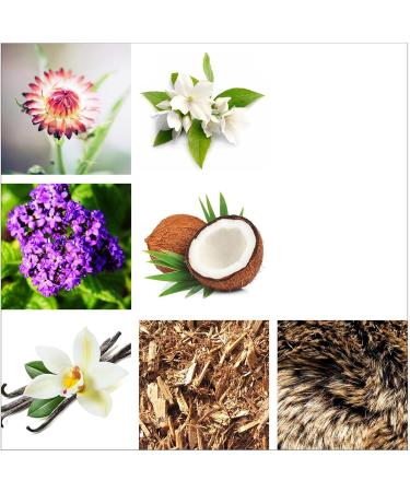 Rachel Zoe Empowered Scented Candle - Vanilla Scented Jar Candle - Luxury Perfume Oil Jar Candle with 45 Hour Burn - Soy Wax Cotton Wick - 6.3 oz - Buy Online on GoSupps.com