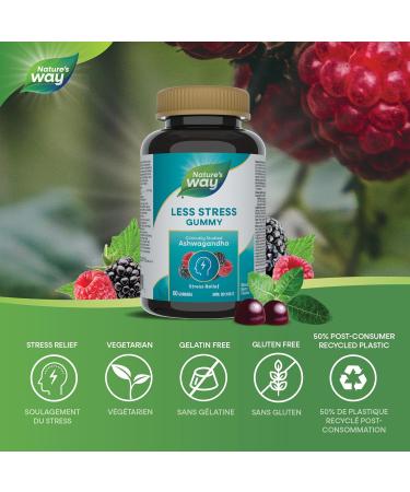 Nature's Way Less Stress Gummies Clinically Studied Ashwagandha Supplement for Adults Help to Reduce the Symptoms of Stress Natural Mixed Berry Flavour 60 Gummies - Buy Online on GoSupps.com