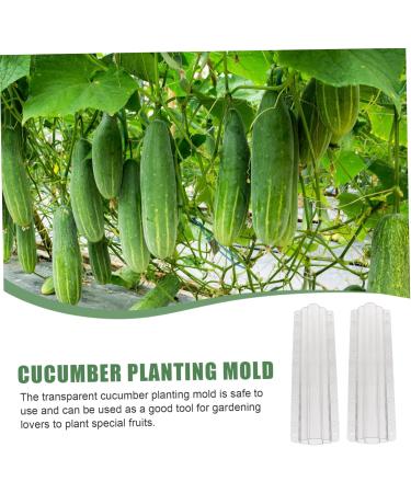 Toddmomy Garden Fruit Mould 6 Pcs Vegetable Shaping Mold Fruit Vegetable Mold Vegetable Shaped Mold Planting Supplies Modeling - Buy Online on GoSupps.com