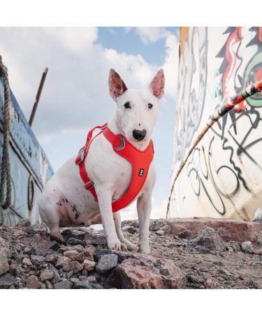 Hurtta Weekend Warrior Eco Dog Harness - Rosehip (32-39 in) | Durable Comfortable & Eco-Friendly for International Shipping - Buy Online on GoSupps.com