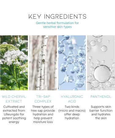 Buy Beyond Angel Aqua Moisture Toner | Vegan Korean Skincare for Sensitive Skin | Hydrating & Soothing | 16.9 fl oz - Buy Online on GoSupps.com