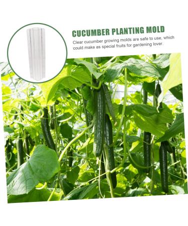 VANZACK Garden Fruit Mould 2pcs Vegetable Shaping Vegetables Flower Shaped Cucumber Molds Fruit Molds Modeling - Buy Online on GoSupps.com