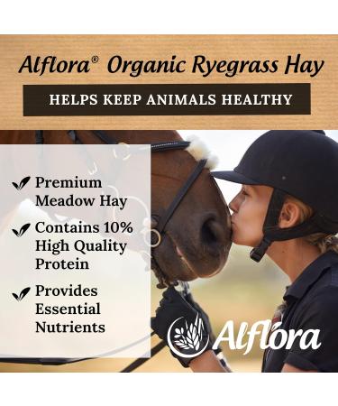 Alflora Organic 1KG Approx Premium Ryegrass Meadow Hay Original - 100% Natural - 10% Protein Fibre and Nutrient Rich Everyday Use Hay or Chaff - For Rabbits Gerbils Hamsters Guinea Pigs Unfavoured 1 count (Pack of 1) - Buy Online on GoSupps.com