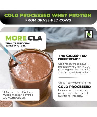 Nutrology Grass-Fed Whey Protein Powder Cold-Processed Grass Fed Whey & Amino Acid Powder for Enhanced Lean Muscle Recovery & Performance 28 Servings Shake Blend or Bake Creamy Chocolate Flavor Creamy Chocolate 2 Poun  - Buy Online on GoSupps.com