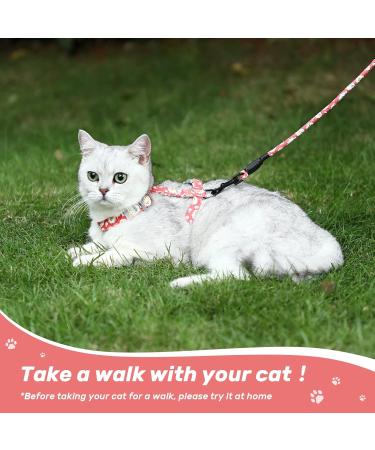 Petom Flower Pattern Cat Dishes & Leash Set | Round Lanyard for Cats - Shop Internationally! - Buy Online on GoSupps.com