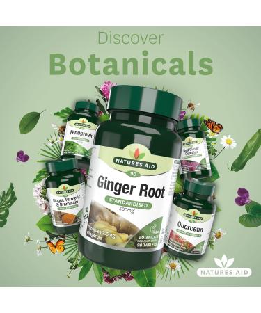 Natures Aid Ginger Root 500mg Tablets - Botanical Supplement with Gingerols & Shogaols | Vegan | Made in the UK - Buy Online on GoSupps.com