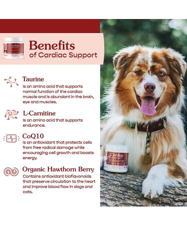 FERA Cardiac Support Supplement | Dogs Cats | Taurine, L-Carnitine, CoQ10, Hawthorn, Vitamin E | Promotes Heart Health & Circulation | 120 Capsules - Buy Online on GoSupps.com