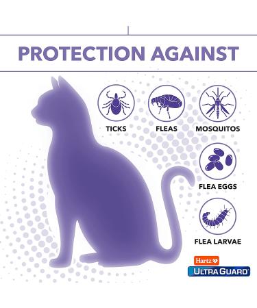 Hartz UltraGuard Pro Topical Flea & Tick Prevention for Cats - 3 Monthly Treatments - Buy Online on GoSupps.com