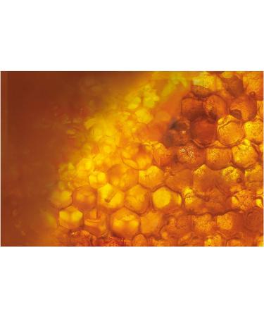 L'Oreal Paris Age Perfect Hydra-Nutrition Balm with Manuka Honey Extract - 1.7 oz | Paraben-Free Dry Skin Rescue - Buy Online on GoSupps.com