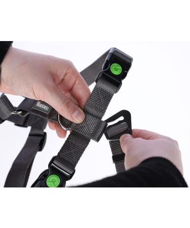Kerbl 80040 Escape-Proof Panic Harness - Grey 38-52cm | International Shipping Available - Buy Online on GoSupps.com