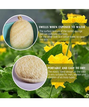 Natural Loofah Sponge - Eco-Friendly Exfoliating Body Scrubber (2 Pack) | Biodegradable Shower Luffa for Men & Women - Buy Online on GoSupps.com