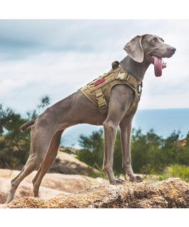 OneTigris Tactical Dog Vest | Service Dog Harness & MOLLE Training Harness | 1000D Nylon (Medium Brown) - Buy Online on GoSupps.com