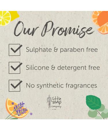 Little Soap Co. Naturals Ginger & Lemongrass Bar Soap - Vegan & Cruelty-Free - 100g - Buy Online on GoSupps.com