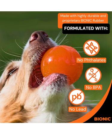 Bionic Ball - Durable 6.7cm Dog Toy for International Shipping | Tough & Long-lasting for Active Dogs - Buy Online on GoSupps.com