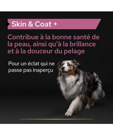 PURINA PRO PLAN | Skin & Coat+ | Complementary food | Dog | 250ml bottle - Buy Online on GoSupps.com