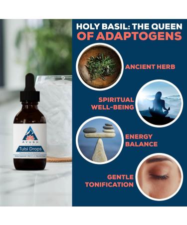 Ayush Herbs Tulsi Drops - Alcohol-Free Tulsi Drops Holy Basil Gylcerite Natural Immune-Support Drops for Kids & Adults Calm & Focus Booster - 2 Fl Oz (80 Servings) - Buy Online on GoSupps.com
