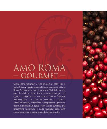 BOCCA DELLA VERITA - Box of 10 capsules of Italian coffee AMO ROMA Gourmet Capsules compatible with the Lavazza A Modo Mio coffee machine 100% Made in Italy - Buy Online on GoSupps.com