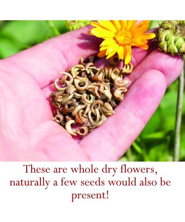 Foothills Naturals Calendula Flowers Whole Organic - 1 Pound/454 Grams. Cooking Cosmetics Herbal Recipes - Buy Online on GoSupps.com