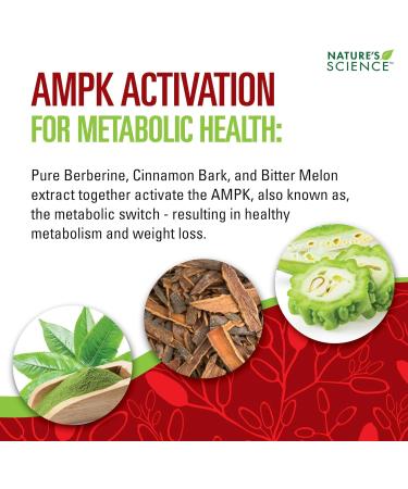 Nature's Science Berberine HCL with Phytosome Green Tea for Weight Management 100% Pure Clinical Grade Berberine HCL for Better Absorption - Helps Metabolism Keeps Full for Longer - 60 Caps - Buy Online on GoSupps.com