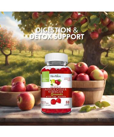 Herbion Naturals Organic Apple Cider Vinegar Gummies - Vegan Pectin-Based Digestion & Detox Support Pack of 4 (240 Gummies) - Made in the USA - Buy Online on GoSupps.com