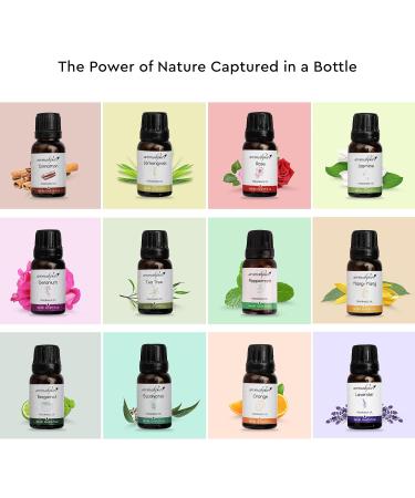 Fresh & Floral Fragrance Oil Set - 12x180ml for Home Aromatherapy Diffusers Candles & Soaps | Best International Shipping - Buy Online on GoSupps.com