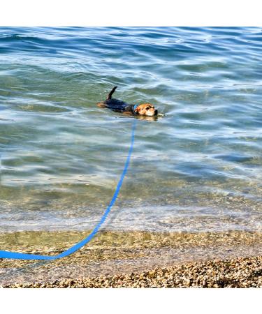 Joytale 5m Waterproof Drag Line Leash for Medium Large & XL Dogs - Durable Long Dog Leash (Blue) - Buy Online on GoSupps.com