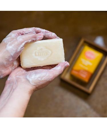 Lume Triple Milled Toasted Coconut Soap - 5oz, Paraben & Phthalate Free, Skin Safe - Buy Online on GoSupps.com