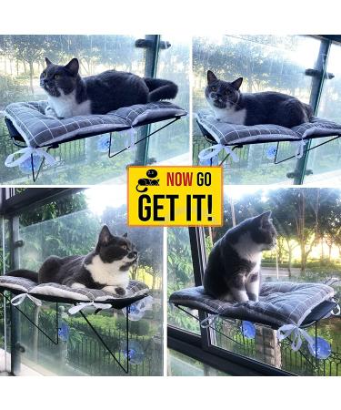 Cat Window Perch Hammock Seat with 4 Suction Cups for 360 Sunbathing and Napping - Indoor Cat Bed - Buy Online on GoSupps.com