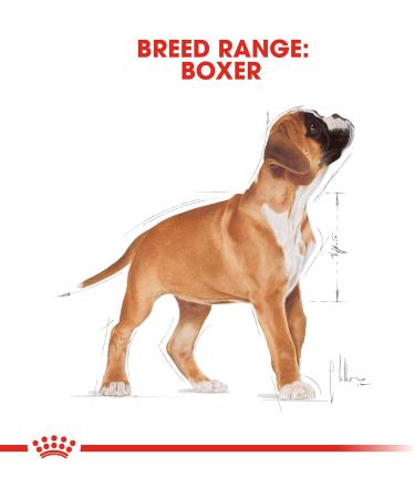 Royal Canin Boxer Junior 3.0 kg - Buy Online on GoSupps.com