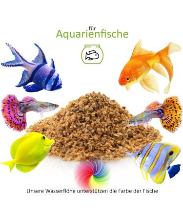 UGF Premium Daphnia Water Fleas - 500ml Dried Fish Food for Aquariums | Ideal Snacks for Ornamental Fish - Buy Online on GoSupps.com