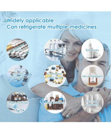 ZZBB Small Reefer Refrigerator and Insulin Cooler Portable Insulin Refrigerated Box Car Home Refrigeration Heating Medicine Small Refrigerator - Buy Online on GoSupps.com