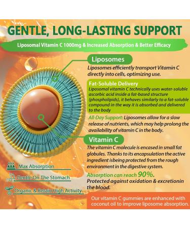 NEVISS Liposomal Vitamin C 1000mg Gummies & Probiotics for Kids Teen + Veggie & Fruit Fiber Gummies - Buy Online on GoSupps.com