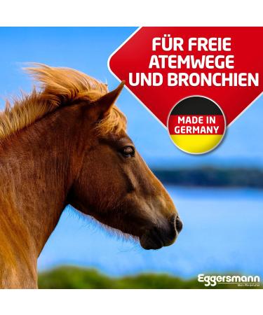 Buy EGGERSMANN My Horse Feed Professional Bronchial Pellets - 4kg Supplementary Feed with Natural Herbs for Clear Airways & Cough Support - 1 Pack - Buy Online on GoSupps.com