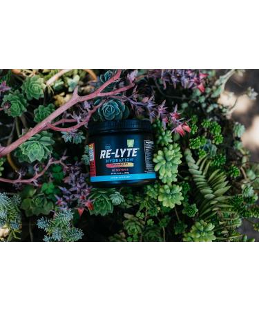 Redmond Re-Lyte Hydration Electrolyte Mix - Strawberry Lemonade | International Shipping - Buy Online on GoSupps.com