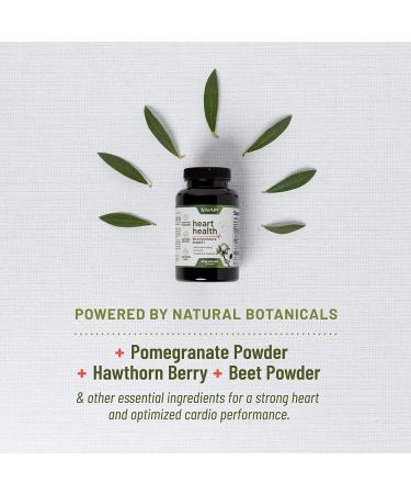 Natural Heart Health Supplement - Lower Blood Pressure & Improve Circulation - Olive Leaf, Turmeric & Vitamins - 180 Capsules x2 - Buy Online on GoSupps.com