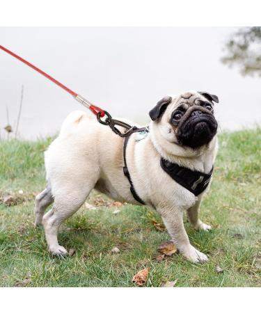 Buy Tie Out Leashes for Dogs - Shock Absorbing Spring 3-15m Yard Leashes (Red) - Perfect for Outdoor Use - Buy Online on GoSupps.com