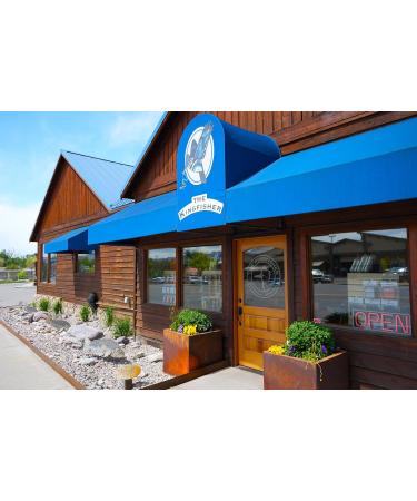 Scissor Clamp 5.5in Gold Straight 5.5 Inch Gold - Straight - Buy Online on GoSupps.com