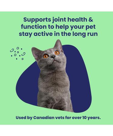 Vetoquinol Flexadin Advanced Cat Joint Supplement One Unit a Day for Cats 60 Chews - Buy Online on GoSupps.com