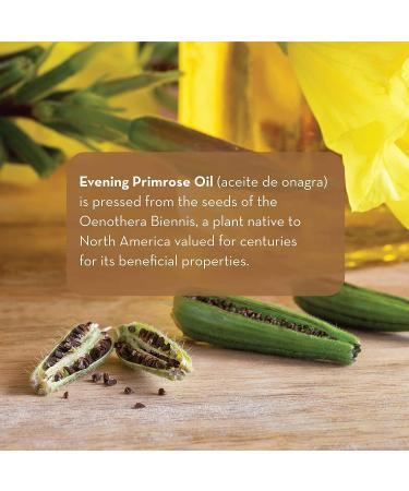 Pure Body Naturals Evening Primrose Oil - 4 fl oz - Face, Skin, and Hair Moisturizer - Buy Online on GoSupps.com